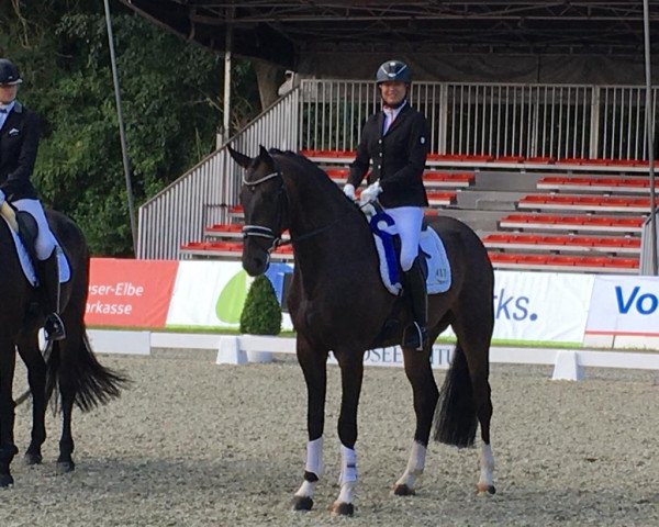 dressage horse Cox Orange (Hanoverian, 2017, from Christ)