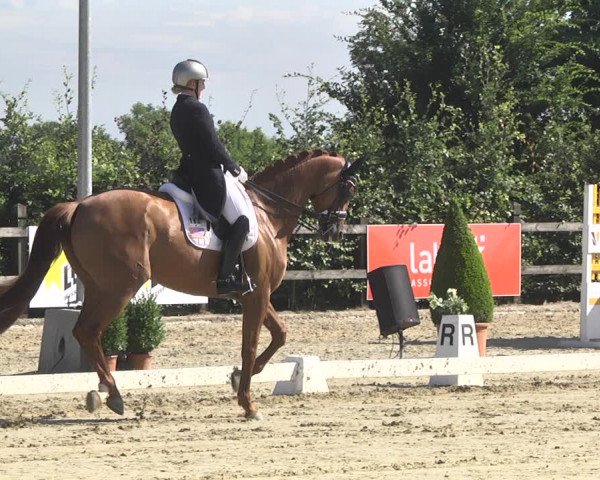 CDI**** Leudelange (LUX) 2018