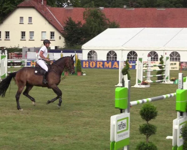 Steinhagener Reitertage 2018