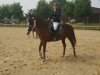 dressage horse Jessie James Wonder (Quarter Horse, 2007, from Awesome San Badger)