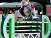 jumper Figlia Bella (KWPN (Royal Dutch Sporthorse), 2010, from Cicero Z van Paemel)