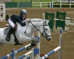 jumper Jack The Lad (Connemara Pony, 2005, from Rynn Richard)