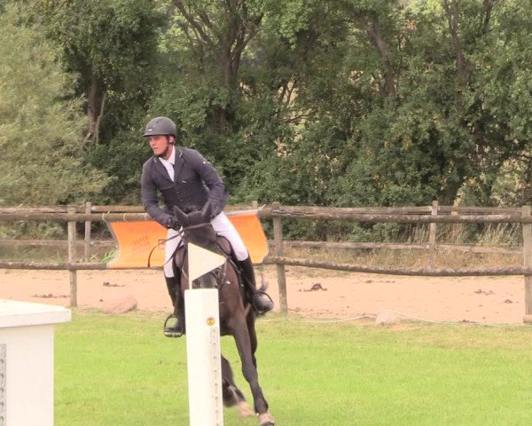 Reitturnier Ebreichsdorf 2018