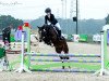 dressage horse Steendiek's Calle Blomquist (German Riding Pony, 2009, from FS Chambertin)