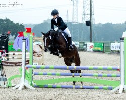 dressage horse Steendiek's Calle Blomquist (German Riding Pony, 2009, from FS Chambertin)