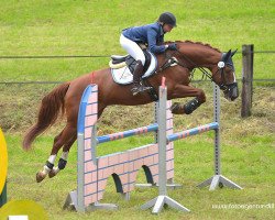 dressage horse Dao 2 (Trakehner, 2012, from Kentucky)