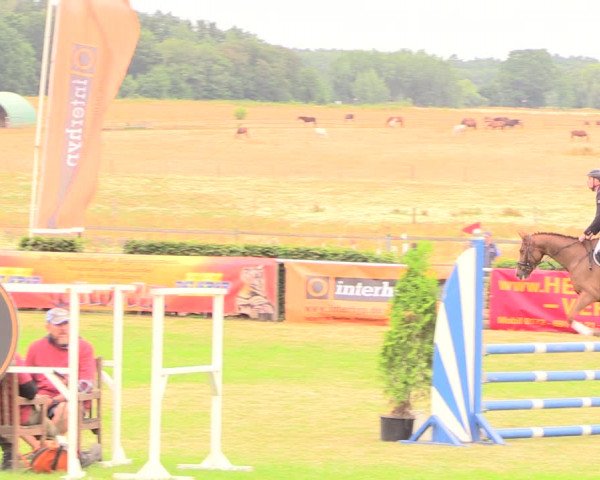 Reitturnier Ebreichsdorf 2018
