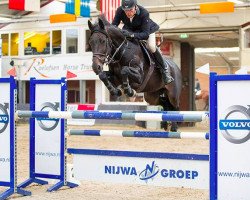 jumper Duchesse de Pomme van het Welthof (Belgian Warmblood, 2003, from Lambada van Berkenbroeck)