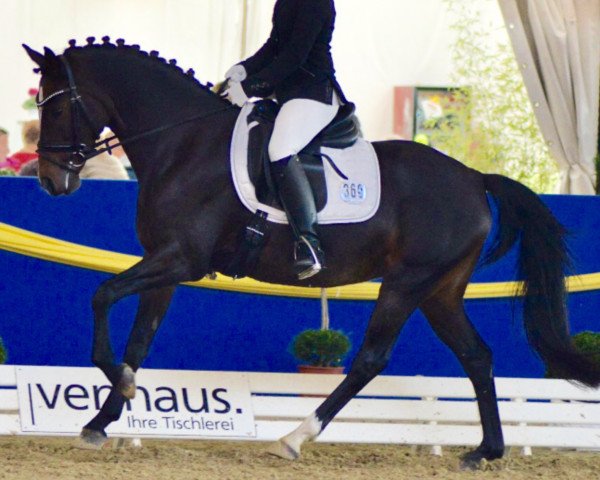 dressage horse Mien Deern 6 (German Riding Pony, 2009, from Charivari)
