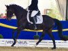 dressage horse Mien Deern 6 (German Riding Pony, 2009, from Charivari)