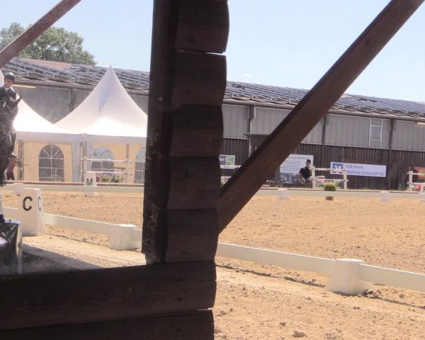 Steinhagener Reitertage 2018