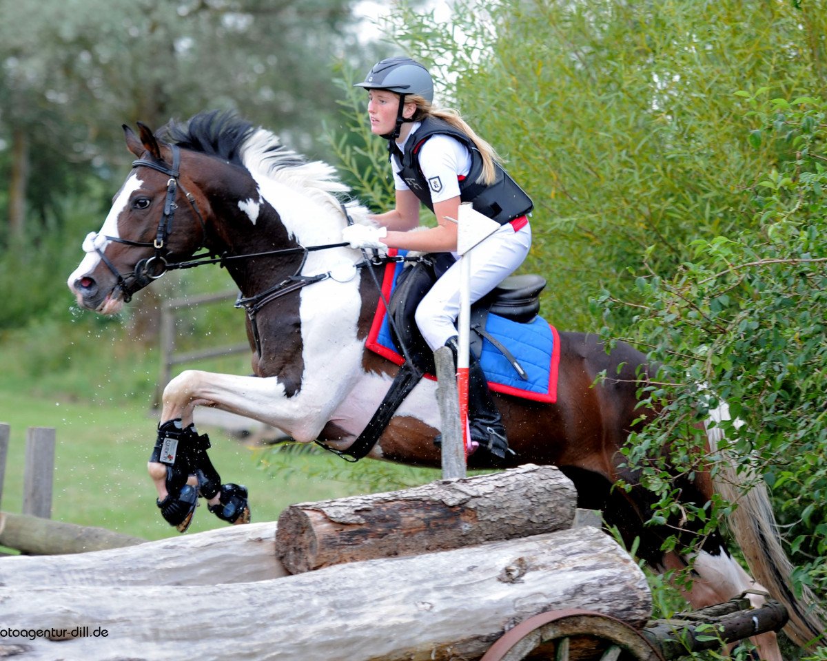 Deckhengst Rub Campino (Deutsches Reitpferd, 2004, von Chromico)