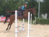 jumper Champion de Coeur 2 (Oldenburg, 2012, from Confiance 4)