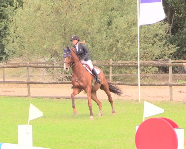 Reitturnier Ebreichsdorf 2018