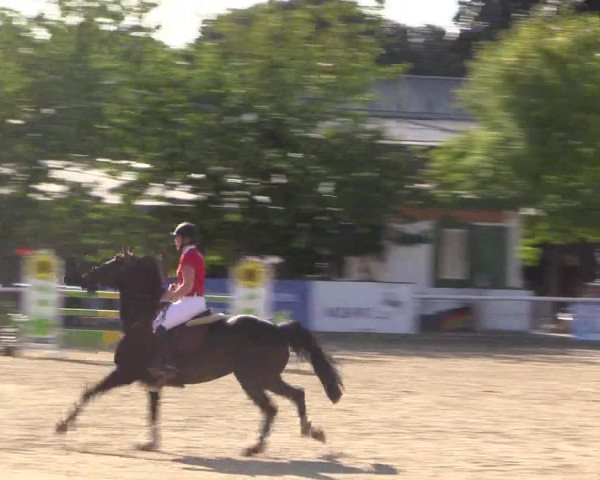 Reitturnier Haren 2018