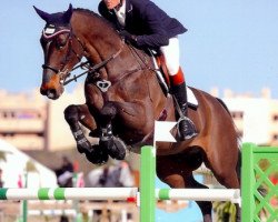 Springpferd Hilton de Laubry (Belgisches Warmblut, 2007, von Atlantic VDL)