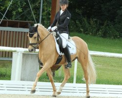 dressage horse Darling T (German Riding Pony, 2010, from Danny Gold)