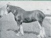 broodmare Onoway (Clydesdale, 1928, from Benefactor 20867)