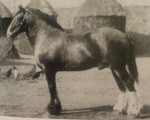 stallion Prince of Wales 673 (Clydesdale, 1866, from General Mortons)