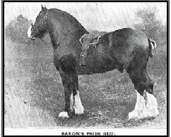 stallion Baron's Pride 9122 (Clydesdale, 1890, from Sir Everard)