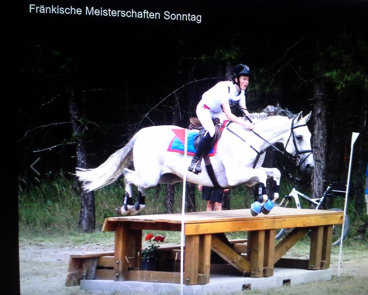 jumper Greenlawn True Enough (Irish Sport Horse, 2004)