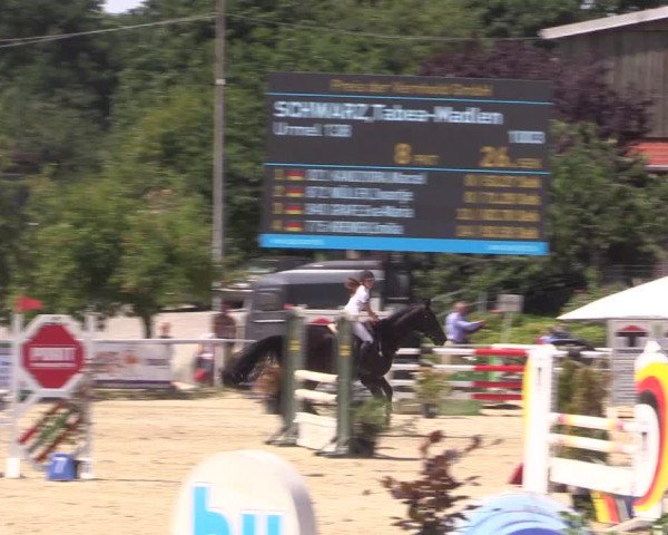 Reitturnier Haren 2018