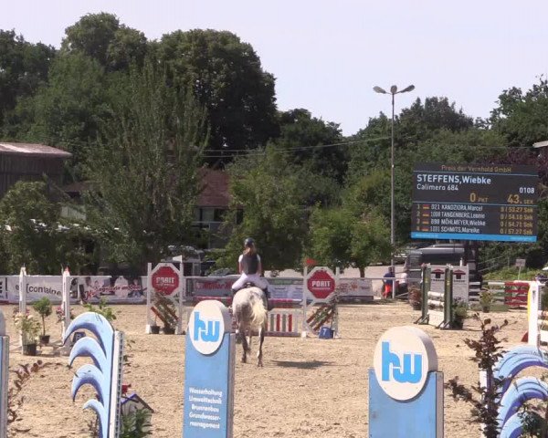 Reitturnier Haren 2018