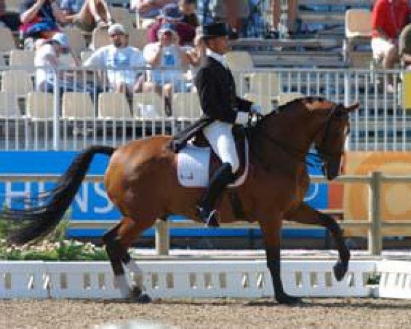 dressage horse Zancor (KWPN (Royal Dutch Sporthorse), 1991, from Calimero)