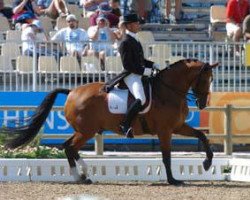 dressage horse Zancor (KWPN (Royal Dutch Sporthorse), 1991, from Calimero)