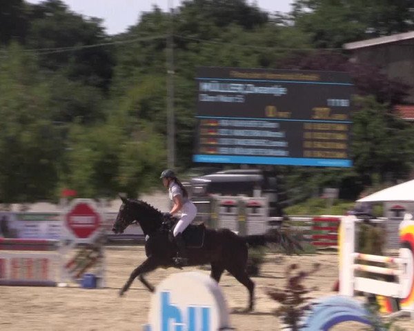 Reitturnier Haren 2018