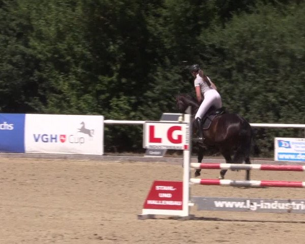Reitturnier Haren 2018