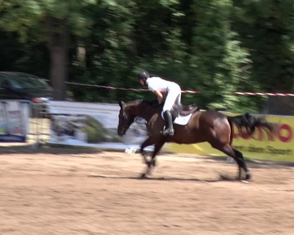Reitturnier Prussendorf 2018