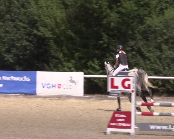 Reitturnier Haren 2018
