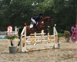 jumper Ruby Tuesday 86 (Rhinelander, 2012, from Rock Forever NRW)