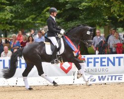 stallion Mdm Zodiac OLD (Oldenburg, 2013, from Zonik)