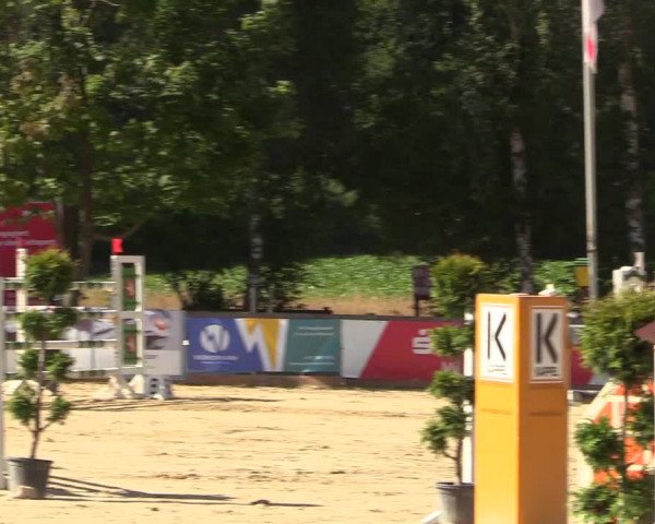 Reitturnier Münster-Roxel 2018