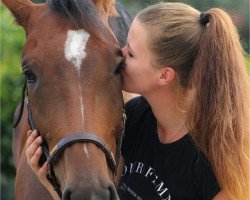 jumper Catosino (Holsteiner, 2012, from Catoo)