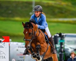 jumper Cimba 29 (German Sport Horse, 2010, from Chap 47)