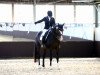 dressage horse Fantasy 82 (Hanoverian, 2003, from Florianus)