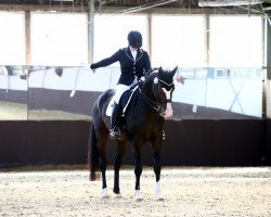 dressage horse Fantasy 82 (Hanoverian, 2003, from Florianus)