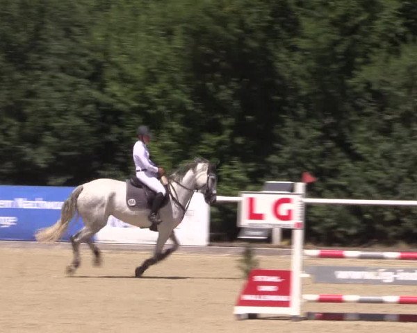 Reitturnier Haren 2018