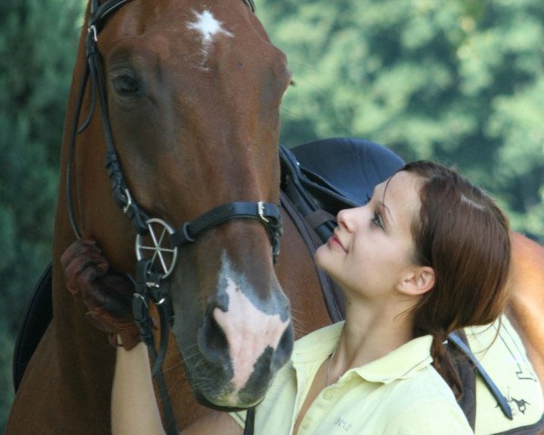 Pferd Boris (Österreichisches Warmblut, 1999, von Belluno)