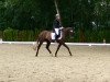 broodmare TI Eternity (German Sport Horse, 2014, from Expo'se)