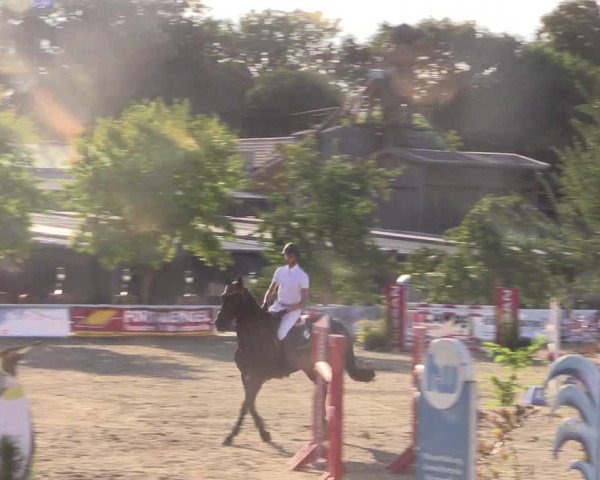 Reitturnier Haren 2018