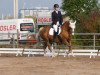 dressage horse Vianna Gold (German Riding Pony, 2002, from Pink Floyd)