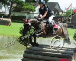 jumper Kick (German Riding Pony, 2001, from Kaiserstolz)