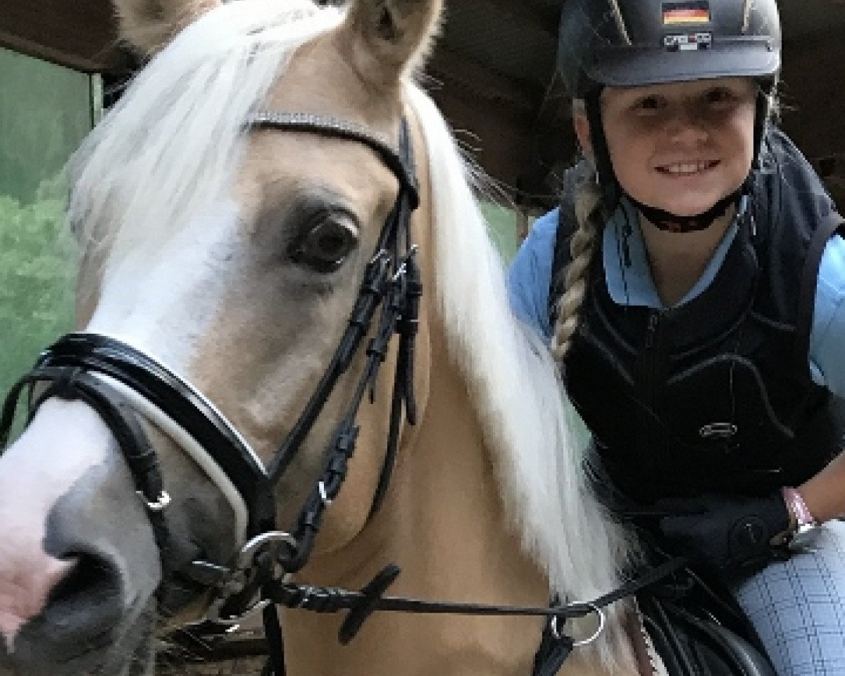 broodmare Golden Bee 3 (German Riding Pony, 2009, from Garfield)