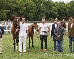 broodmare Lesmona (Hanoverian, 2006, from Lordanos)