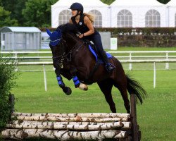 jumper Enzo 105 (Hanoverian, 2008, from El Bundy)