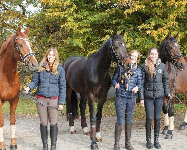 broodmare La Cara Mia (Hanoverian, 2002, from Londonderry)